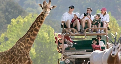 تور آفریقای جنوبی نوروز 1405